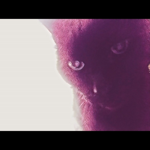 poshyposhmk